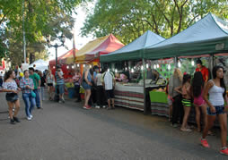 La Feria de las Colectividades