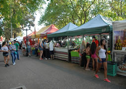 La feria de las colectividades nuevamente en Guernica