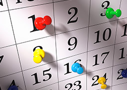 Asueto para la Administración Pública Municipal este miércoles 8 de Noviembre