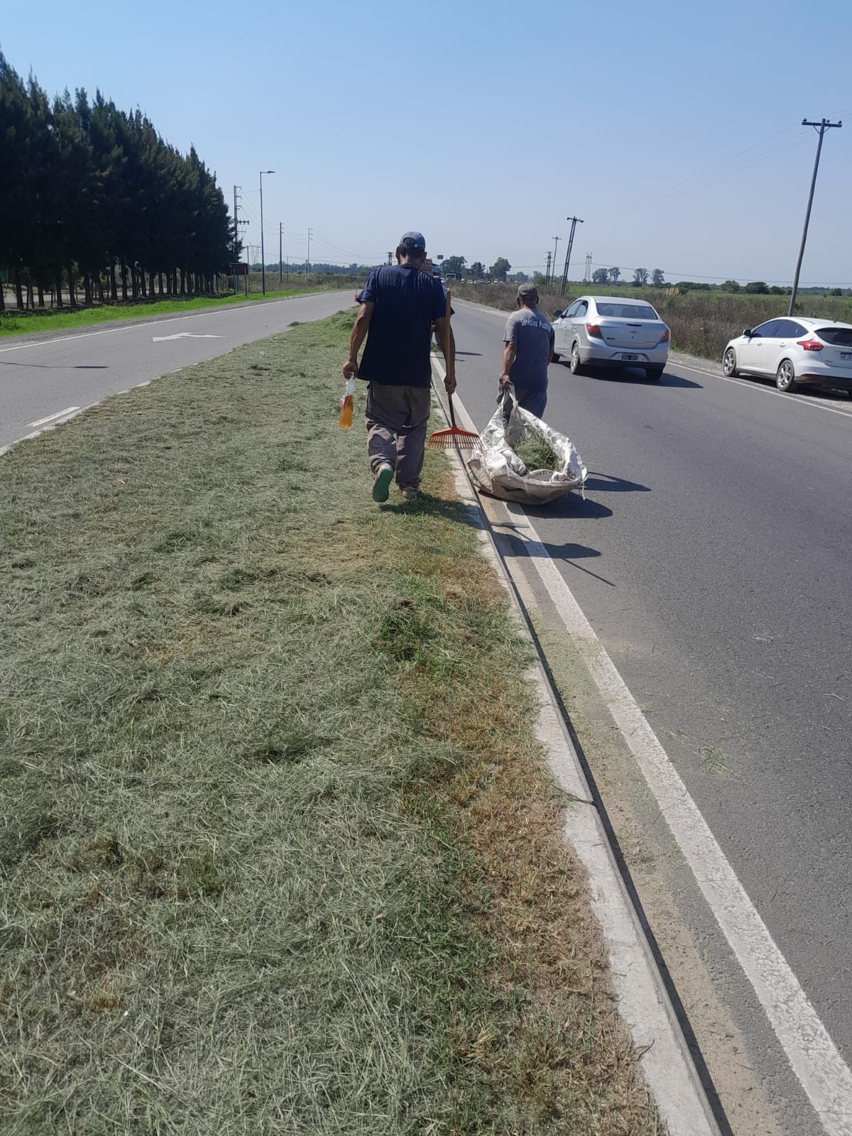 Servicios / CORTE DE PASTO Y LIMPIEZA EN AVENIDAS Y RUTAS